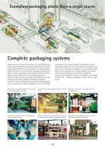 Complete Valve-Bag Filling Systems - 10