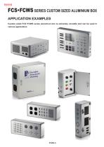FCWS series - CUSTOM SIZED ALUMINIUM BOX with HINGED DOOR-8