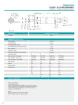 TOPBAND-CORELESS Brushed MOTOR-CLG40. - 1