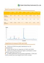 Ruiyi Total Solution for Syngas Analysis - 3