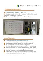 Ruiyi Total Solution for Syngas Analysis - 4
