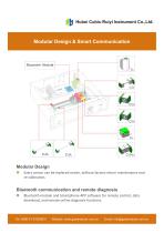 Ruiyi Total Solution for Syngas Analysis - 5