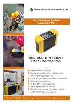 Ruiyi Total Solution for Syngas Analysis - 7
