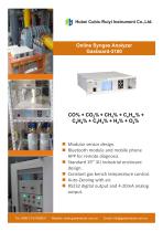 Ruiyi Total Solution for Syngas Analysis - 8