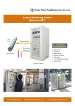 Ruiyi Total Solution for Syngas Analysis - 9