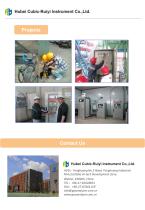 Ruiyi Total Solution for Syngas Analyzer - 13
