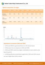 Ruiyi Total Solution for Syngas Analyzer - 3