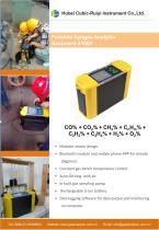 Ruiyi Total Solution for Syngas Analyzer - 7