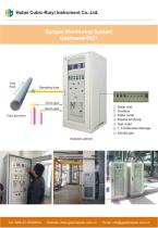 Ruiyi Total Solution for Syngas Analyzer - 9