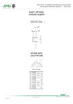 BD2/BV2 - B SERIES TECHNICAL CATALOGUE - 5