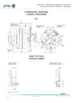 Cilindrata variable BV1 - 2