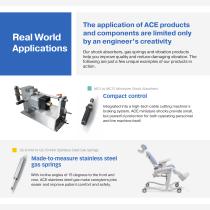 ACE Corporate Brochure - US-8