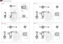 Palletizing robots - 5