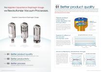 Capacitance Diaphragm Gauge - 2