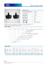 RS series - 2