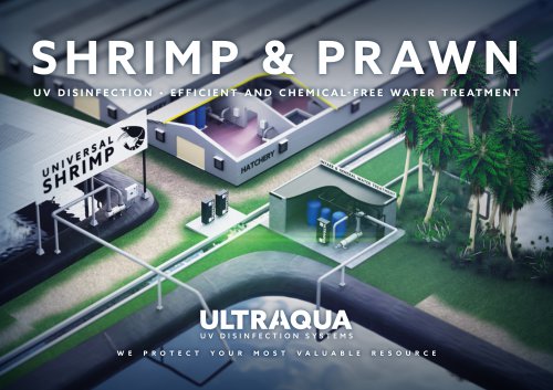 Shrimp and Prawn UV Disinfection