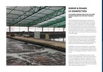 Shrimp and Prawn UV Disinfection - 4