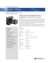 Falcon 4M30 Color-1