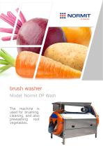 brush washer-1