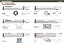 Ceramic bearings-5