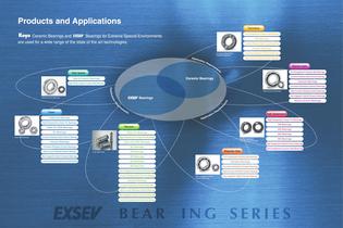 CERAMIC & EXSEV BEARINGS-4