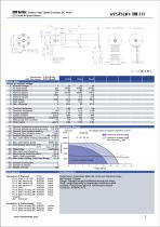 Slotless Brushless Motor-ECH SERIES-3