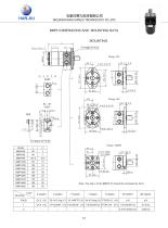 HANJIU Hydraulic Motor - 17