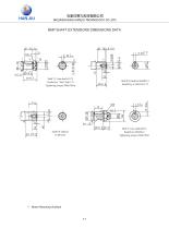 HANJIU Hydraulic Motor - 19