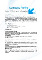 DGR Electric cylinder Selection Guide-2