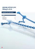 pewag winner pro chain system G12-12