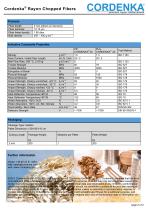 Cordenka® Rayon -2