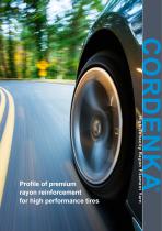 Profile of premium rayon reinforcement for high performance tires-1