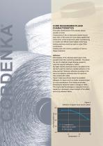 Profile of premium rayon reinforcement for high performance tires-6