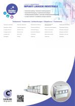Industrial washing system-2