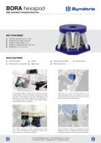 Bora hexapod-1