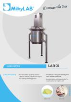 LAB 01-1