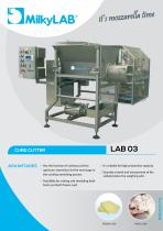LAB 03-1