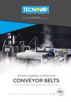 CONVEYOR BELTS STEAM CLEANING - 1