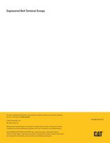Engineered Belt Terminal Groups-12