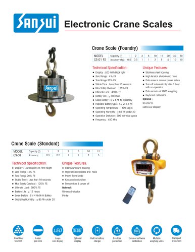 Electronic Crane Scales