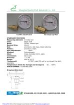 Hot Water Bimetal Thermometer-2