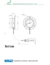 Remote REading Gas Filled Thermometer-4