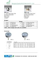 Tridicators - Boiler Gauges-3