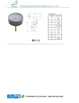 Tridicators - Boiler Gauges-6