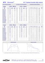 A.C. 3-phase Inverter duty motors MTES-13