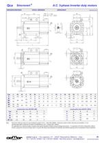 A.C. 3-phase Inverter duty motors MTES-6