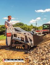 Mini track loader-4
