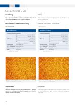 Continuous casting stock ist-10