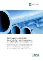 Continuous casting stock ist-1