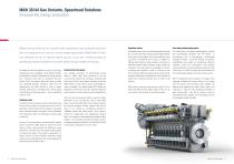 MAN 35/44 Gas Variants - 5